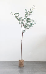 Faux Eucalyptus Branch, 2 Sizes