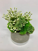 Agapanthus & Grass in Ash Pot, 11" x 13"