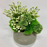 Agapanthus & Grass in Ash Pot, 11" x 13"