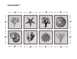 Sea Living Framed Prints - 8 Styles, 12" x 12"