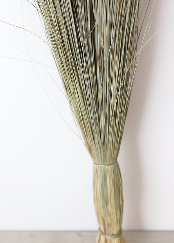 Preserved Green Dune Grass Bundle, 36"