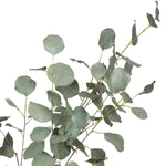 Faux Eucalyptus Branch, 2 Sizes