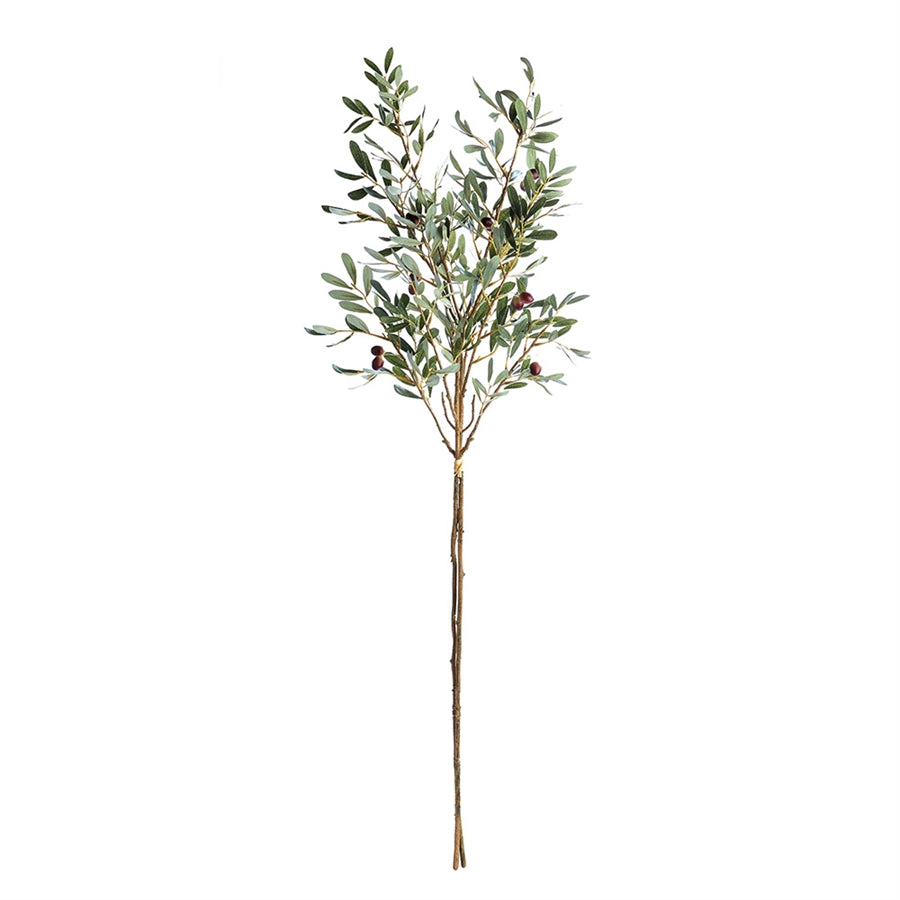 Olive Branches With Olives, Bundle of 2
