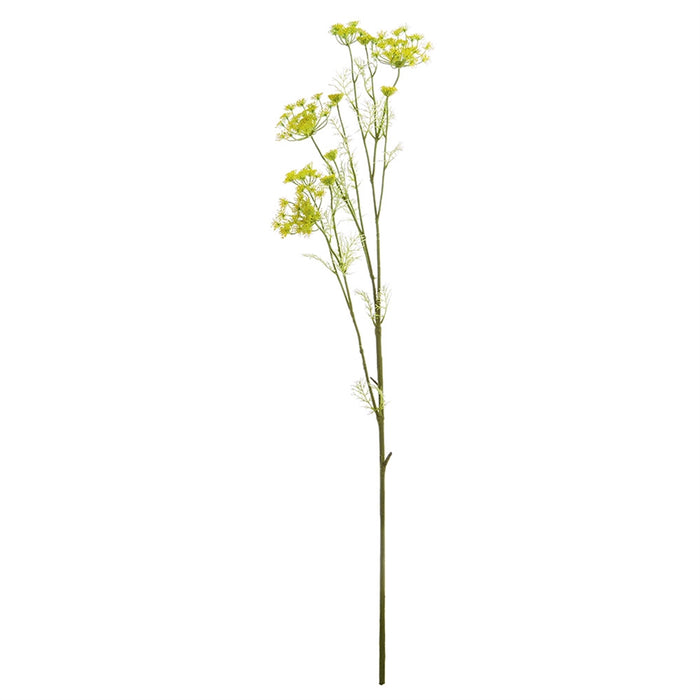 Anise Stem, 28.5"