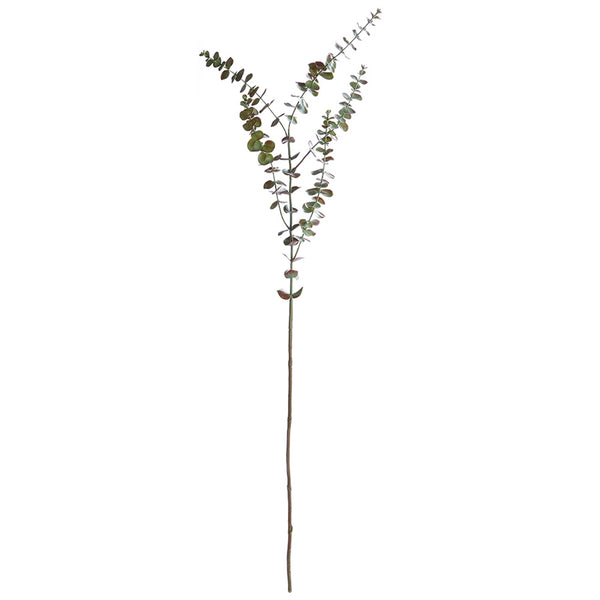 Eucalyptus Branch, 44"