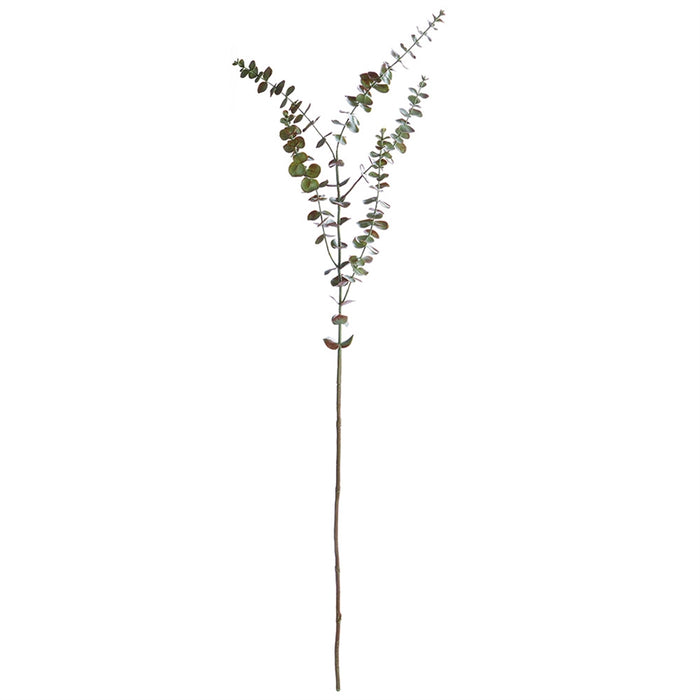 Eucalyptus Branch, 44"