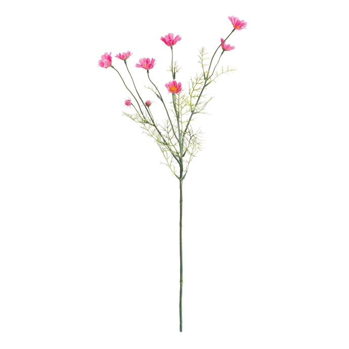 Cosmos Stem Pink, 25"