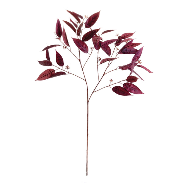 Eucalyptus Seed Branch 36.5"