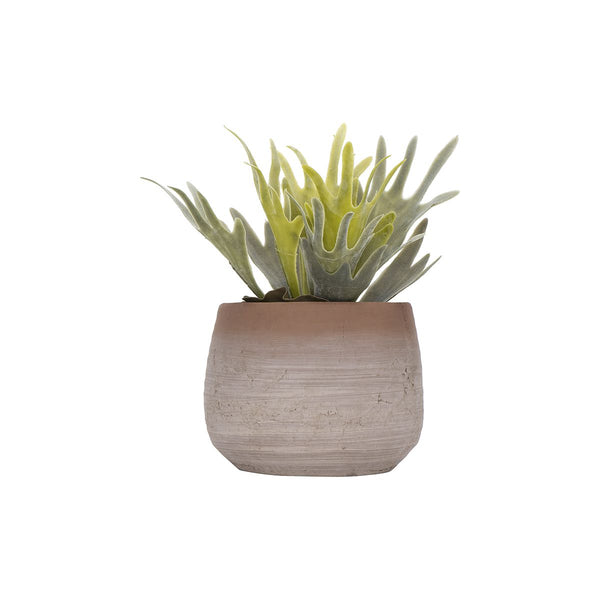 Whitewashed Terra Cotta Planter, 2 Sizes
