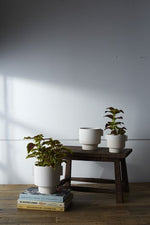 Milton Pot 7"