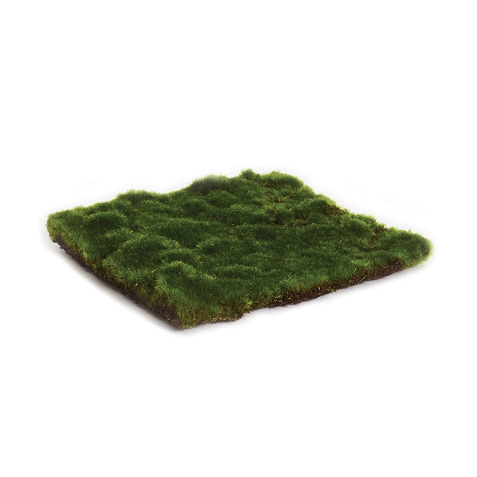 Moss Sheet Square, 2 Sizes