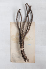 Banana Stem Bunch with Raffia Tie