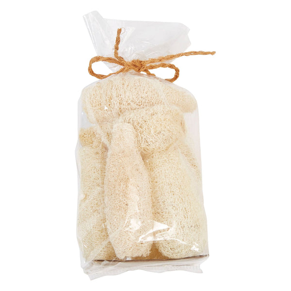 Dried Natural Sponge Gourd