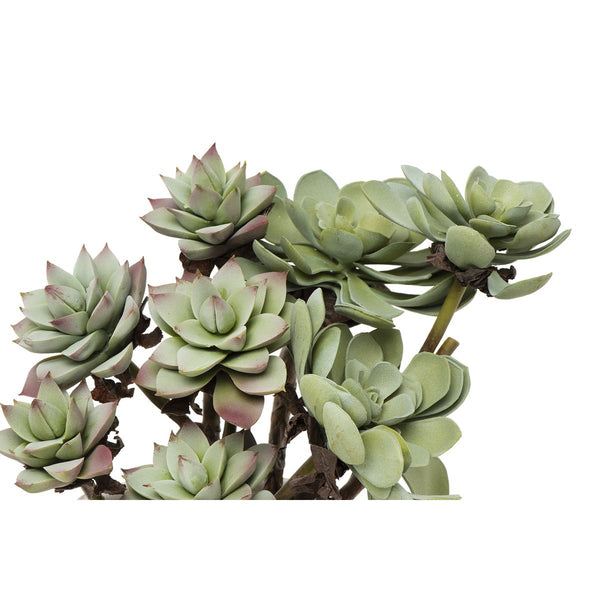 Faux Succulent Branch, 2 Styles