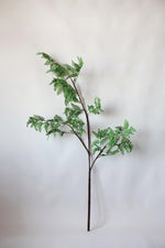 Faux Fern Branch