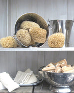 Sea Wool Sponge