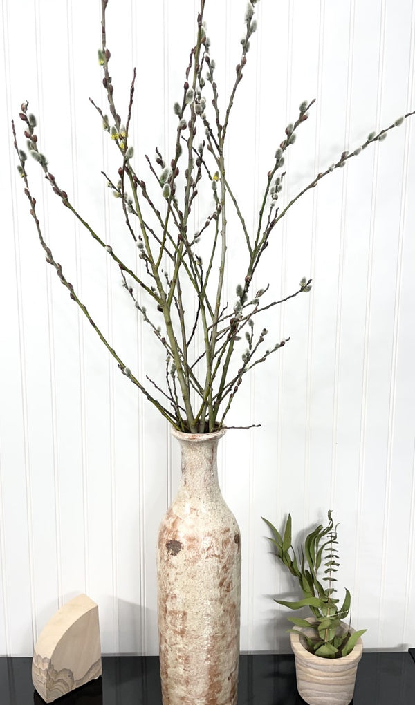 WAREHOUSE Preserved Pussy Willow, 2 sizes