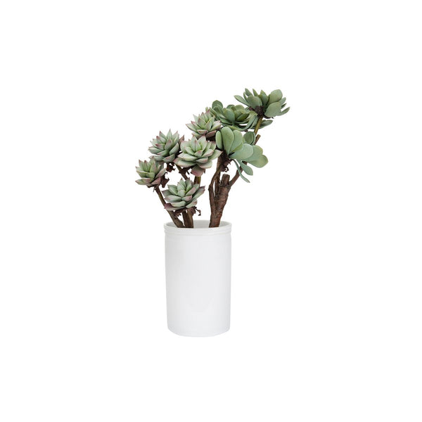 Faux Succulent Branch, 2 Styles